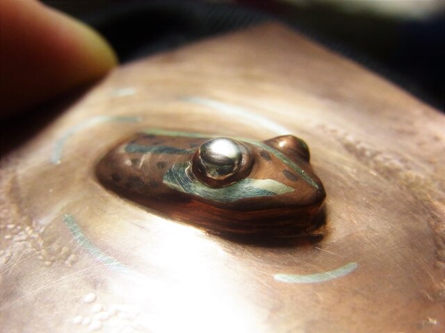 セミオーダ【水面から顔を出すカエル1】 | iichi 日々の暮らしを