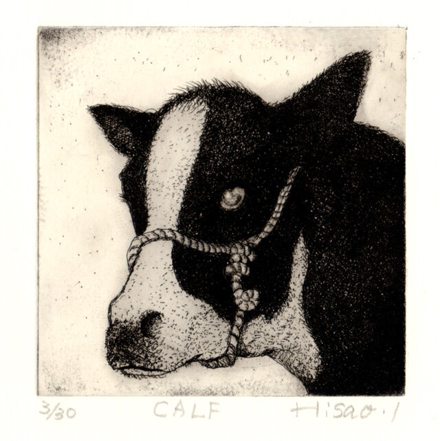 CALFの画像1枚目
