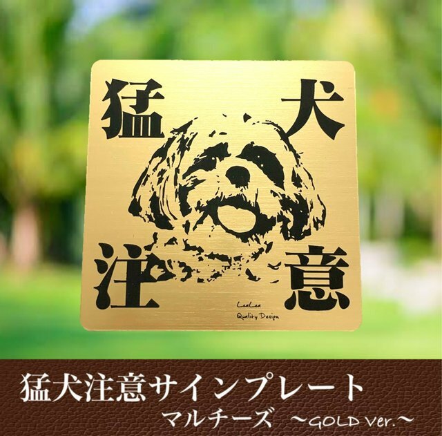 送料無料】猛犬注意サインプレート(マルチーズ)GOLDアクリルプレート