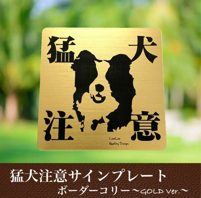 【送料無料】猛犬注意サインプレート(ボーダーコリー)GOLDアクリルプレートの画像1枚目
