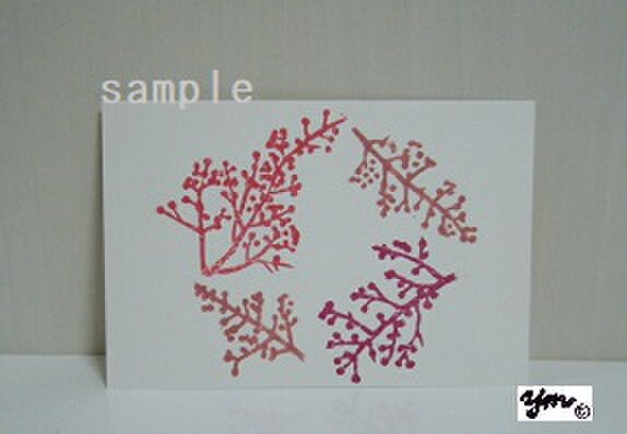 葉書〈サンゴジュリースー1〉の画像1枚目