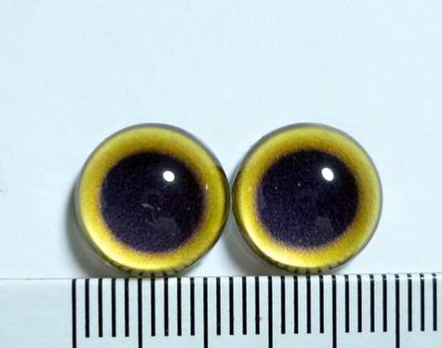 にゃんこのおめめ 半球グラスアイ 猫目 12mm Iichi ハンドメイド クラフト作品 手仕事品の通販