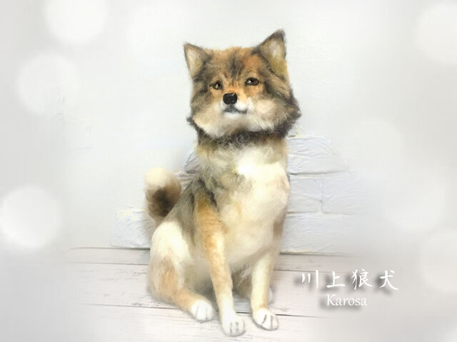 狼 狼犬 川上犬 ウルフドッグ 羊毛フェルト アートドール | iichi