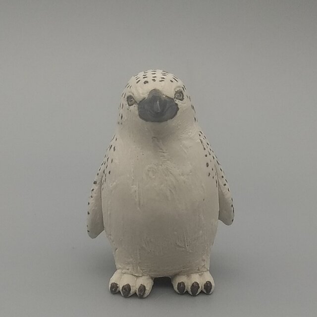 200gAs シロフクロウペンギンの画像1枚目