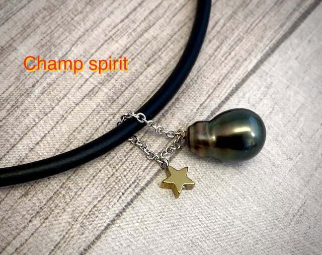 Champ spirit(チャンプスピリット)の画像1枚目