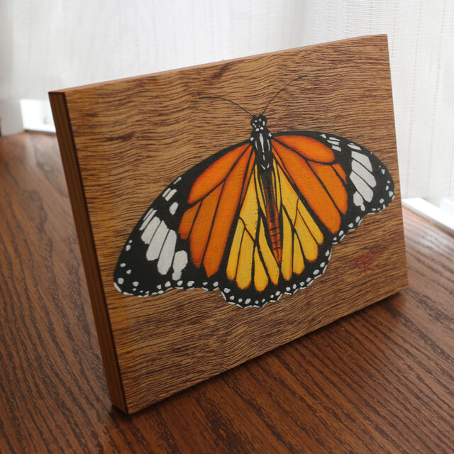 F0アクリル画パネル(原画) スジグロカバマダラ - danaus genutia-の画像1枚目