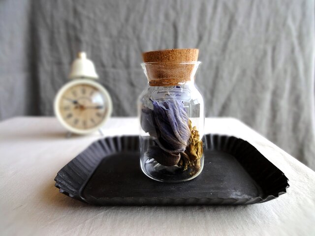 ぽってりフォルムの植物標本 ■ アネモネ ■ ミストラルプラス ブルーの画像1枚目
