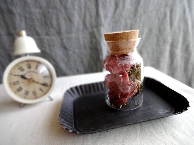 ぽってりフォルムの植物標本 ■ アネモネ ■ ミストラルプラス レッドの画像1枚目