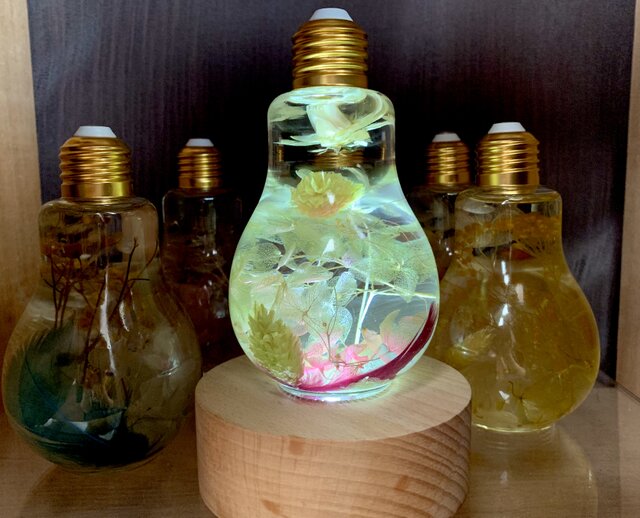 HANDMADE 光る・固まるハーバリウム　2本セット 自然が調和した電球ハーバリウム LEDライトセット | iichi 日々の