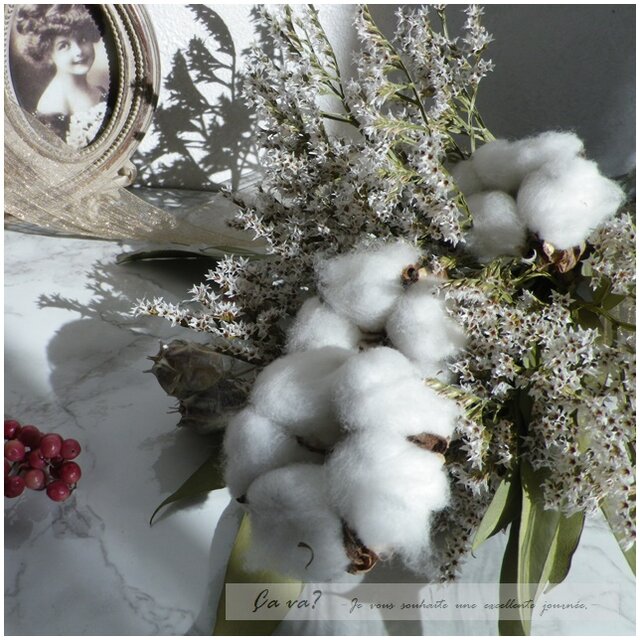 専用＊winter＊コットン＆パンパス ドライフラワースワッグ② winter＊コットン＆パンパス ドライフラワースワッグ② スワッグ fu.wa