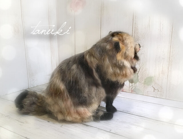 たぬき ぽポンとタヌキLMC ちまき /Popon to tanuki LMC Chimaki:704018