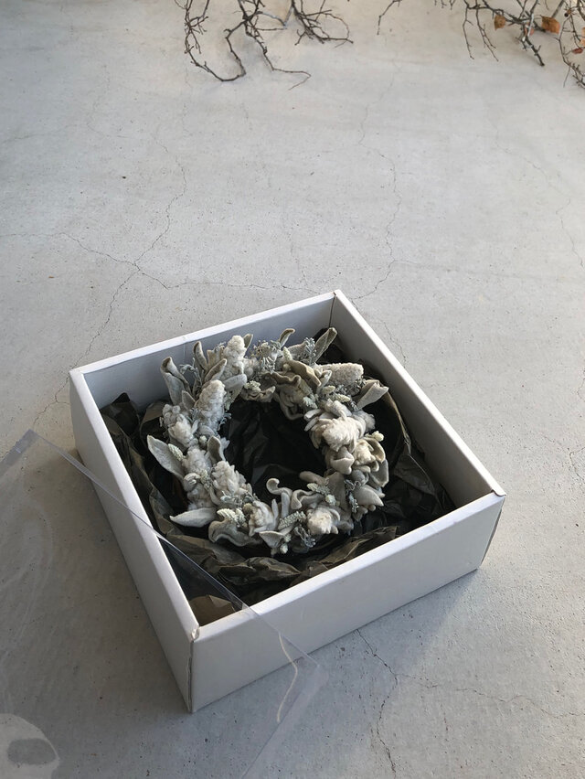BOX S <ラムズイヤー と白の植物用>の画像1枚目
