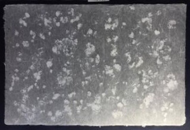 手漉き耳付き雲龍紙 ボタン雪 の画像1枚目