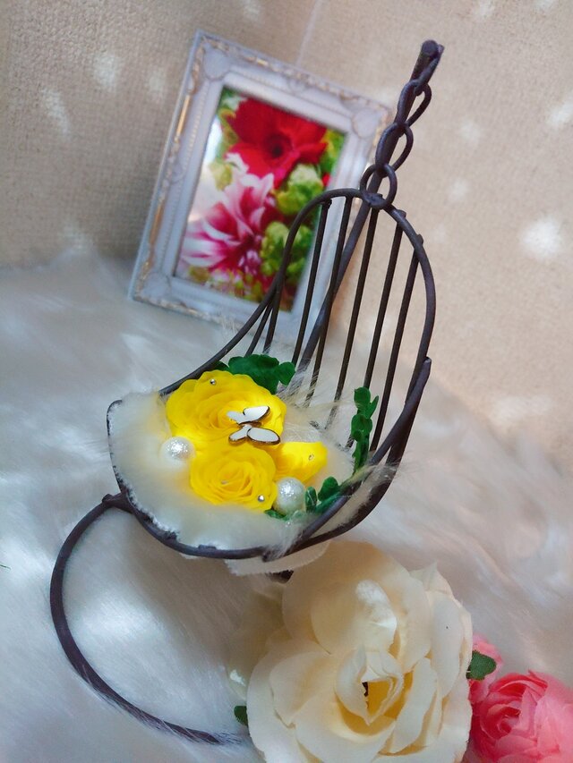 ｱｲｱﾝ～ﾊﾝｷﾞﾝｸﾞﾁｪｱのお花