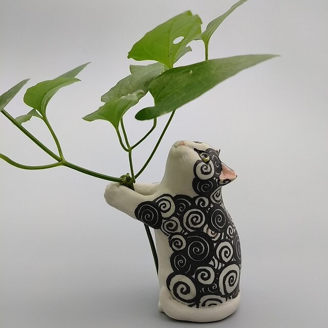 一輪ねこ 渦巻き模様の画像1枚目