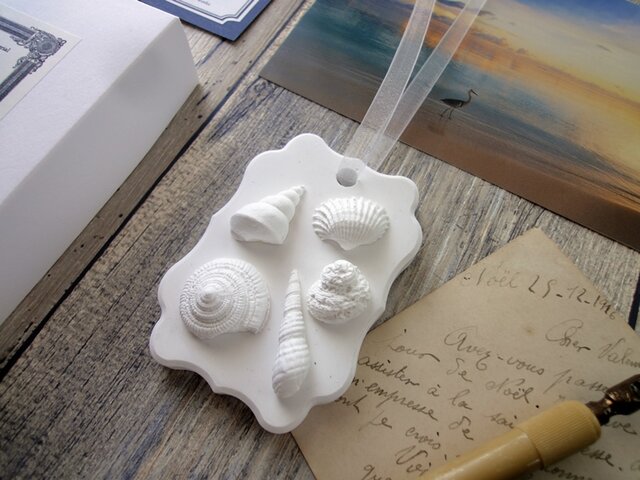 白い博物館 □ アロマストーン □ 貝殻標本 夏の思い出 B面 | iichi