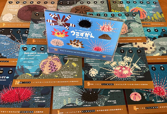 21ウニずかんカレンダー Iichi ハンドメイド クラフト作品 手仕事品の通販