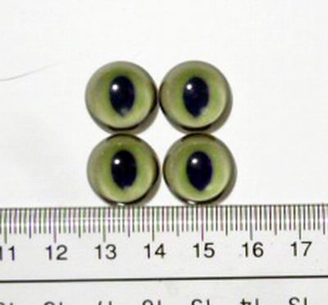 オーダーのお品○半球グラスアイ○猫目○15mm○2セットの画像1枚目