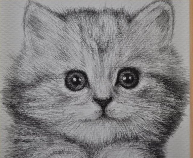 かわいい子猫の細密画 Iichi ハンドメイド クラフト作品 手仕事品の通販