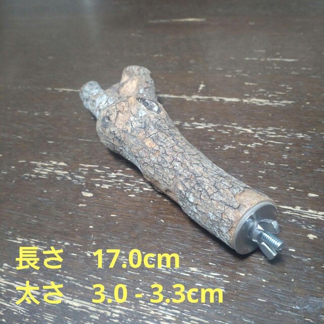 止まり木（枝：TOY-08-015）T532 | iichi 日々の暮らしを心地よくする