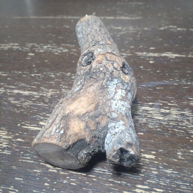 止まり木（枝：TOY-08-015）T532 | iichi 日々の暮らしを心地よくする