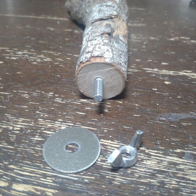 止まり木（枝：TOY-08-015）T532 | iichi 日々の暮らしを心地よくする