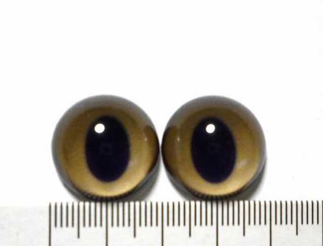 にゃんこのおめめ○半球グラスアイ○猫目○20mm〇20012の画像1枚目