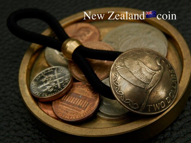 H84 New Zealand Coin Hair Elastic | iichi 日々の暮らしを心地よく