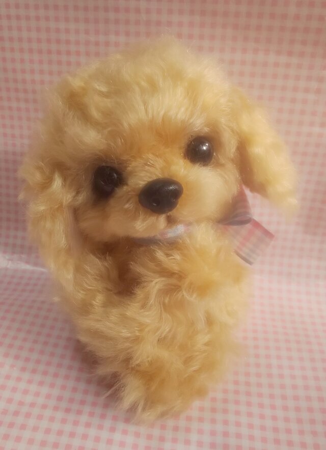 ふわふわぬいぐるみ☆ジューマンモヘア☆トイプードル | iichi 日々の