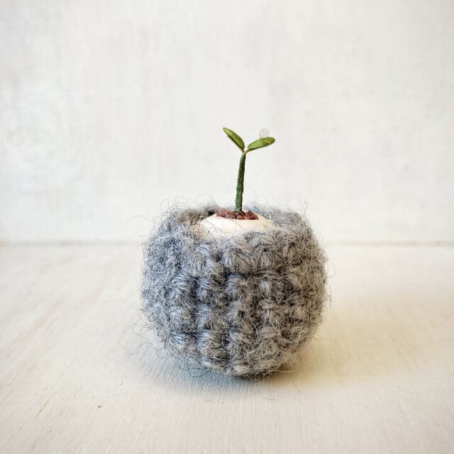 5382.bud 粘土の鉢植え お包み