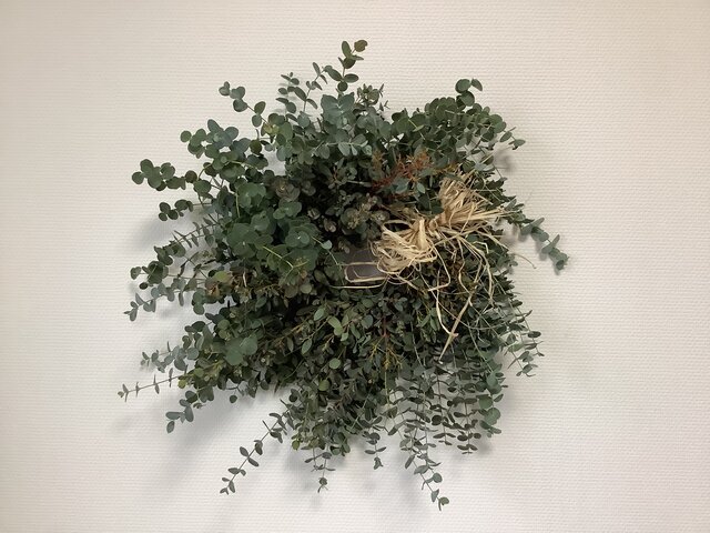 atelierBLUGRA八ヶ岳〜フレッシュユーカリのWreath51の画像1枚目