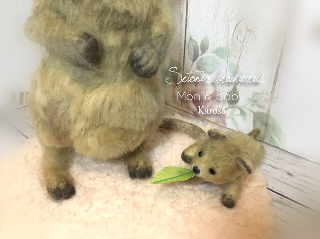 クアッカワラビー クオッカ ママ＆赤ちゃん 袋から出入り自由