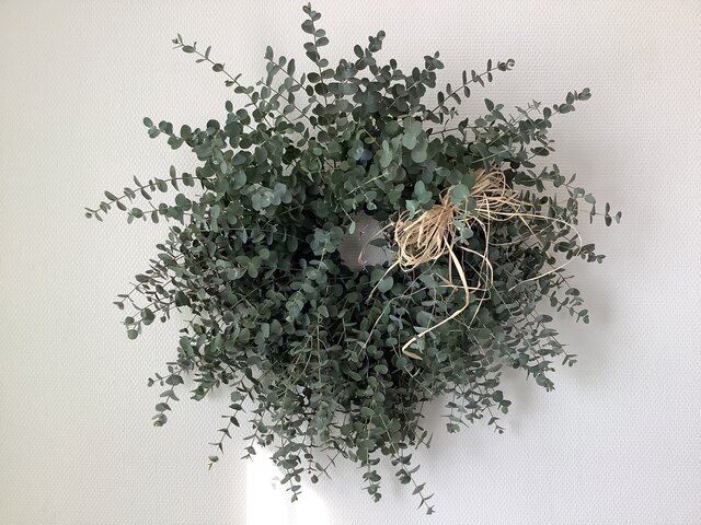 atelierBLUGRA八ヶ岳〜フレッシュユーカリのWreath55の画像1枚目