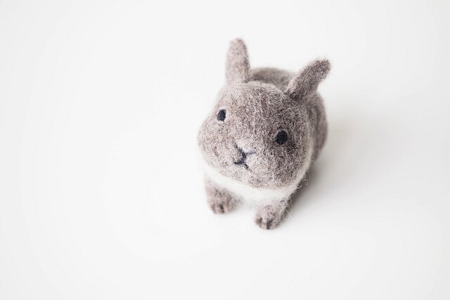 うさぎちゃんの画像1枚目