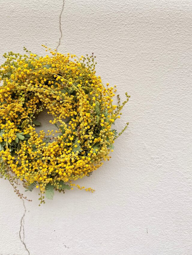 春を呼ぶ黄色　ミモザのリース