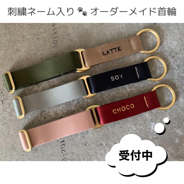 【バイカラー 刺繍ネーム入り オーダーメイド首輪】幅24mm マーチンゲールカラーの画像1枚目