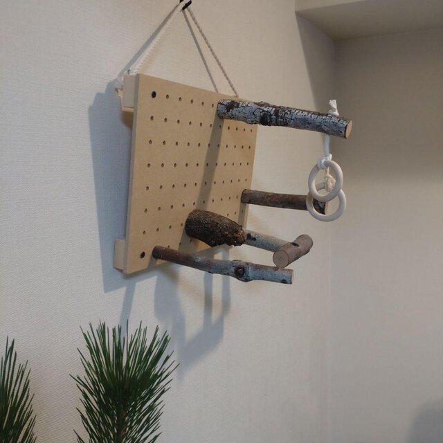 ⑤K25☆プロフ必読☆ページ　バードアスレチック　ハンドメイド ⑤K25☆プロフ必読☆ページ バードアスレチック ハンドメイド ⑤K25