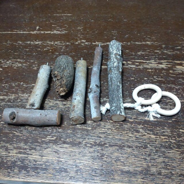 ⑤K25☆プロフ必読☆ページ　バードアスレチック　ハンドメイド ⑤K25☆プロフ必読☆ページ バードアスレチック ハンドメイド ⑤K25