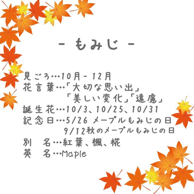 つまみ細工＊ もみじとイチョウのブローチ ~四季彩~ | iichi 日々の