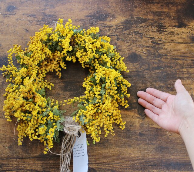 mimosa」wreath ミモザたっぷりリース 春リース ドライフラワー