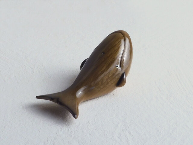 セミクジラの画像1枚目