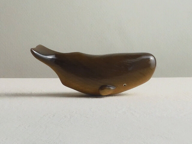 マッコウクジラの画像1枚目