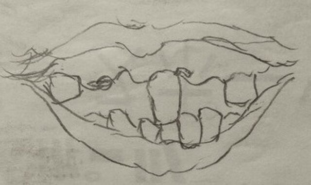 オーダー モノクロ イラスト 受注制作 Iichi ハンドメイド クラフト作品 手仕事品の通販