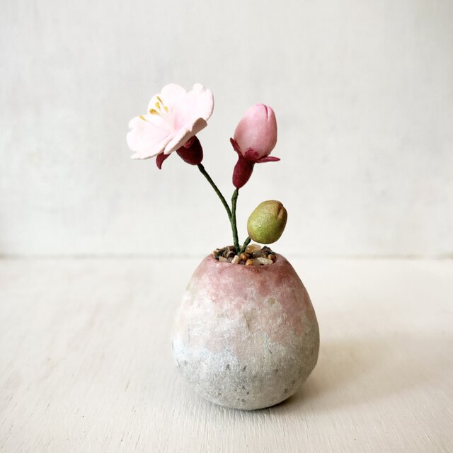5493.bud 粘土の鉢植え サクラの画像1枚目