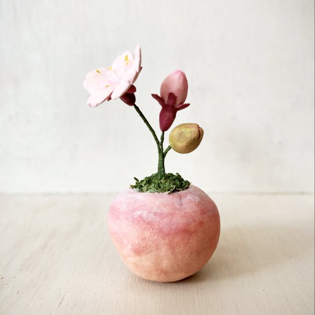5497.bud 粘土の鉢植え サクラの画像1枚目