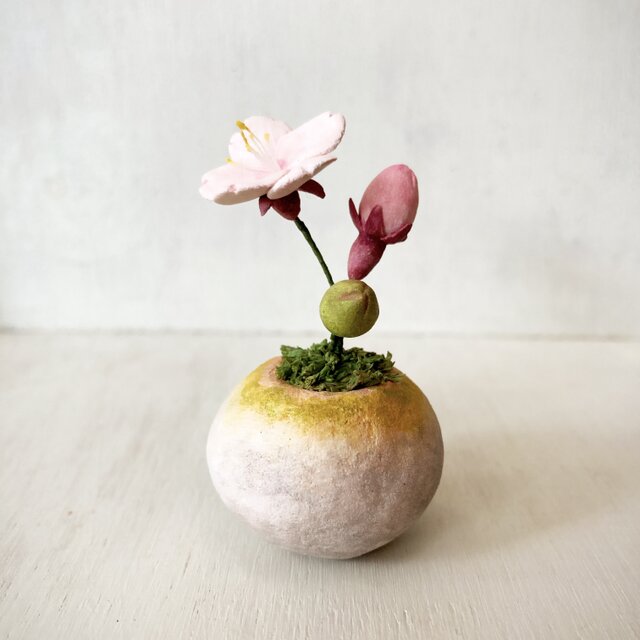 5498. bud 粘土の鉢植え サクラの画像1枚目
