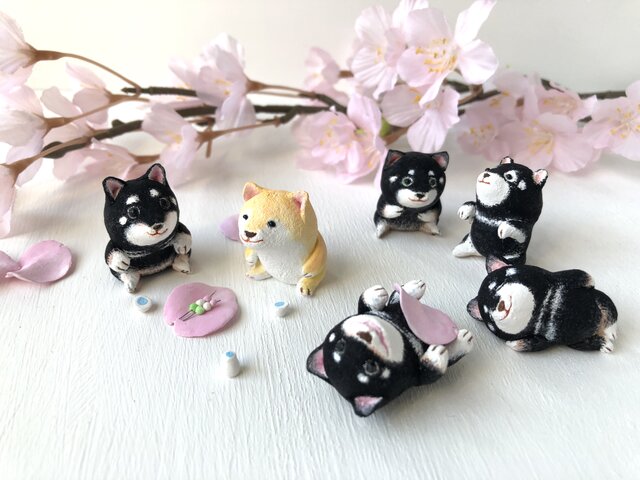 k様専用柴犬さん勢揃いの画像1枚目