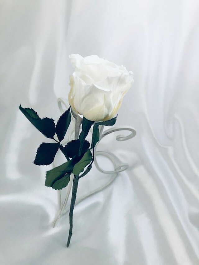 プリザーブドフラワー 白薔薇のふんわり一輪ラッピング Iichi ハンドメイド クラフト作品 手仕事品の通販