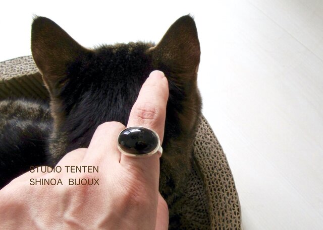 [指で育てるペット]ring オニキス×silverの画像1枚目