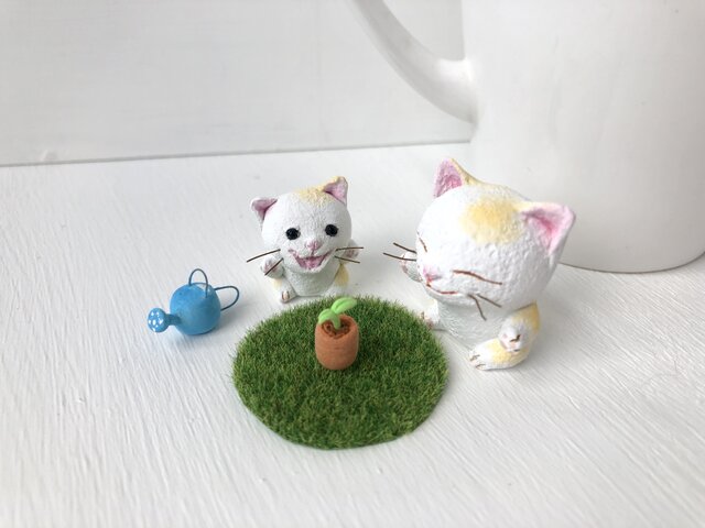 芽が出たよ!猫さんコンビの画像1枚目